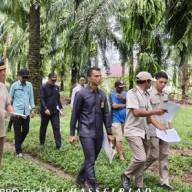 PENGADILAN AGAMA BINTUHAN TERJUN KE LAPANGAN LAKUKAN PEMERIKSAAN SETEMPAT